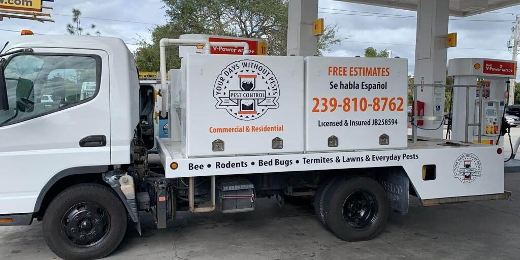 Rodent Control in Southeast, FL